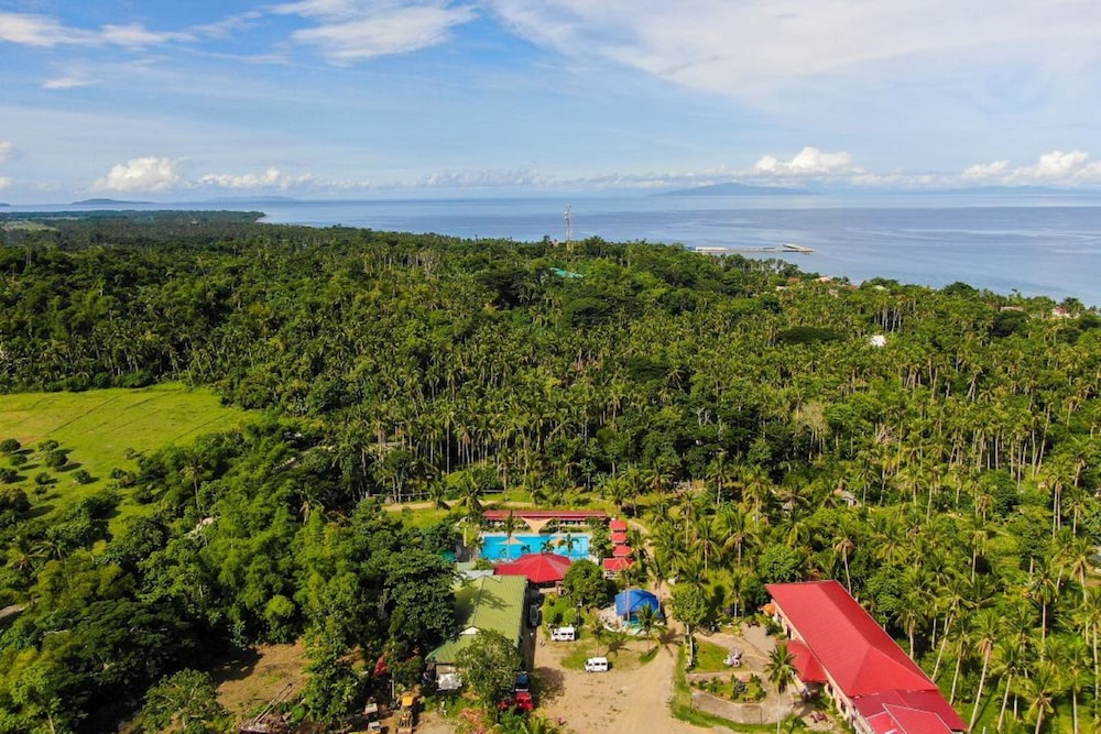 Freedom Eco Adventure Park