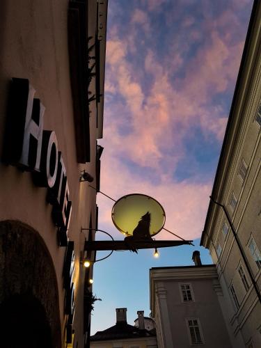 Hotel Wolf