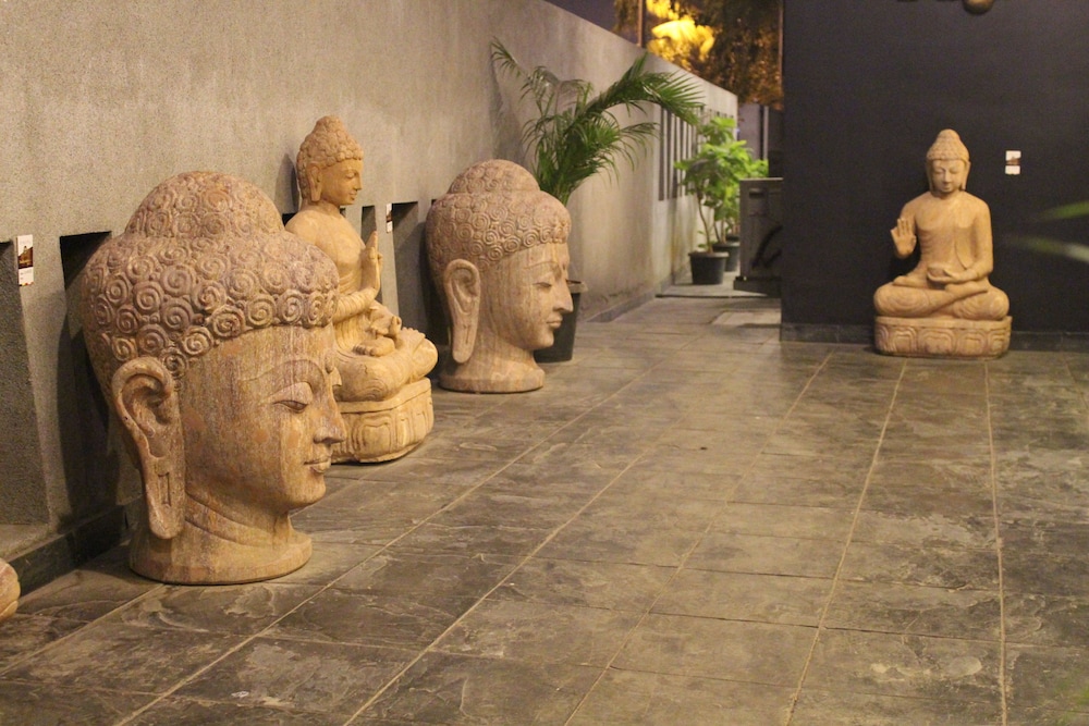 The Dragonfly Art Hotel