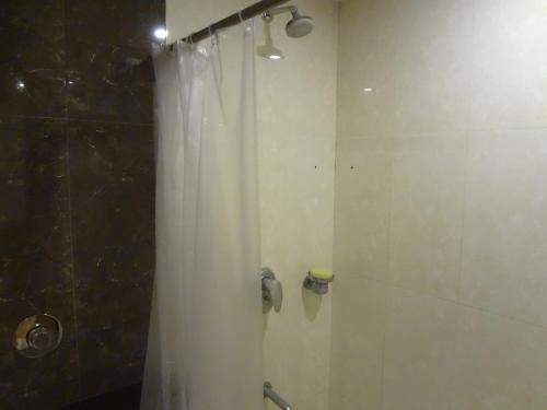 Hotel Juhu Plaza