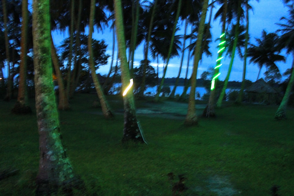 Aparupa Sands Marina Beach Resort
