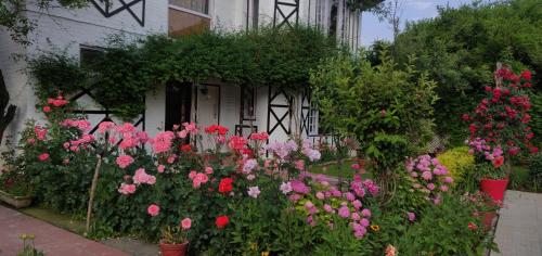 Mahatta Homestay