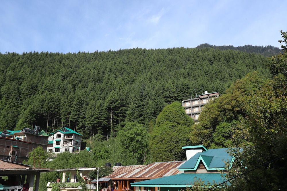 Golden Wood Manali by Rosetum