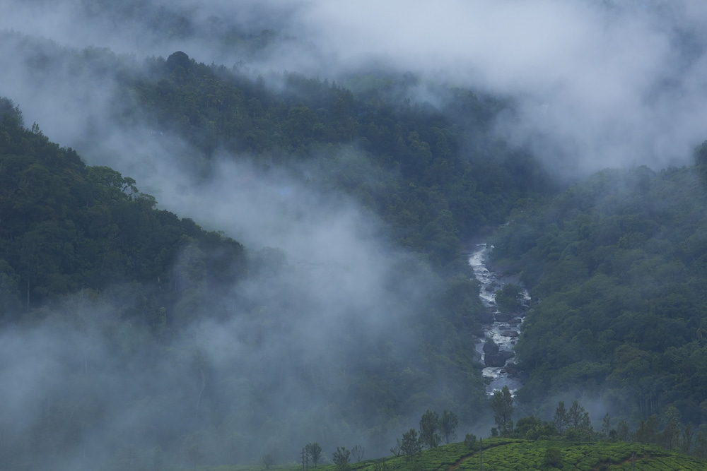 Fragrant Nature Munnar- A Five Star Classified Hotel
