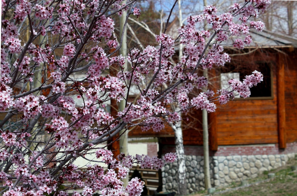 Holiday Inn Resort The Lodge At Big Bear Lake by IHG