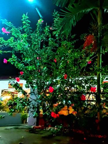 Garden Village Resort