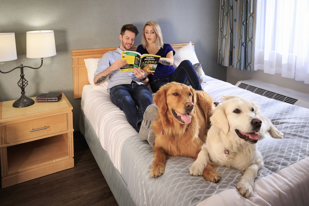 Accent Inns Burnaby