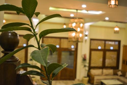 Hotel Royal Heritage