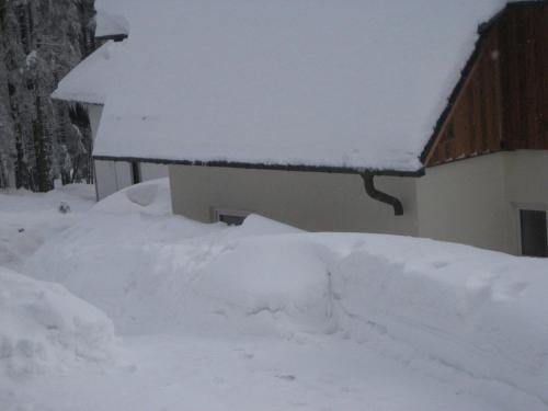 Ferienwohnung Sommer