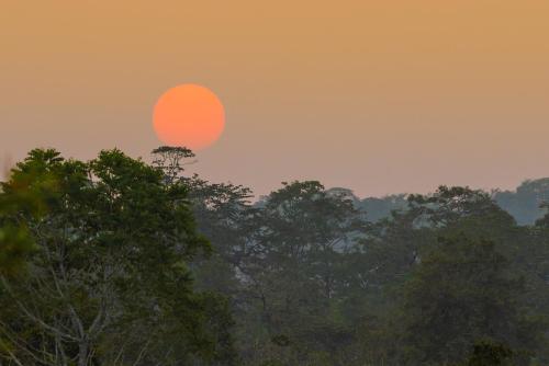 KAAV Safari Lodge, Kabini