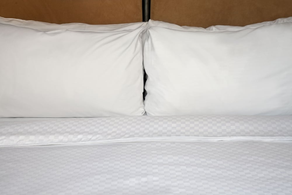 Sheraton Augusta Hotel