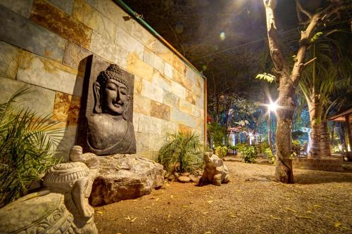 Brown Town Resort & Spa