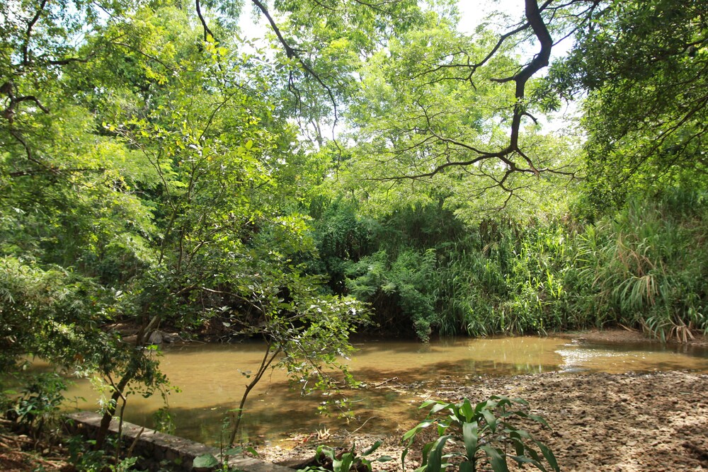Dambuluy Oya Family Park