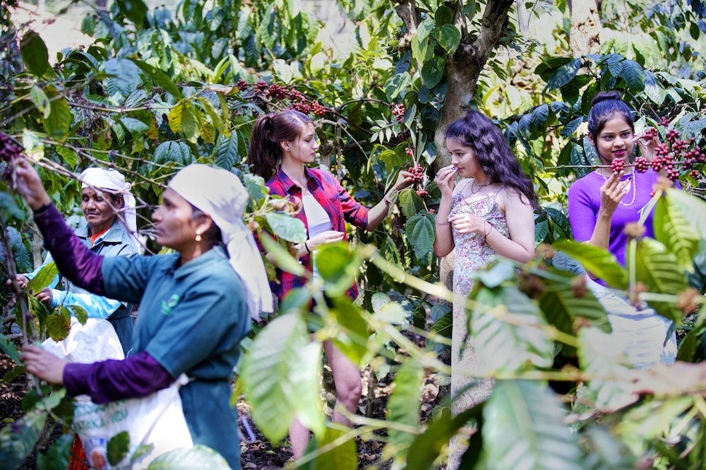 Gokulam Grand Resort and Spa Coorg
