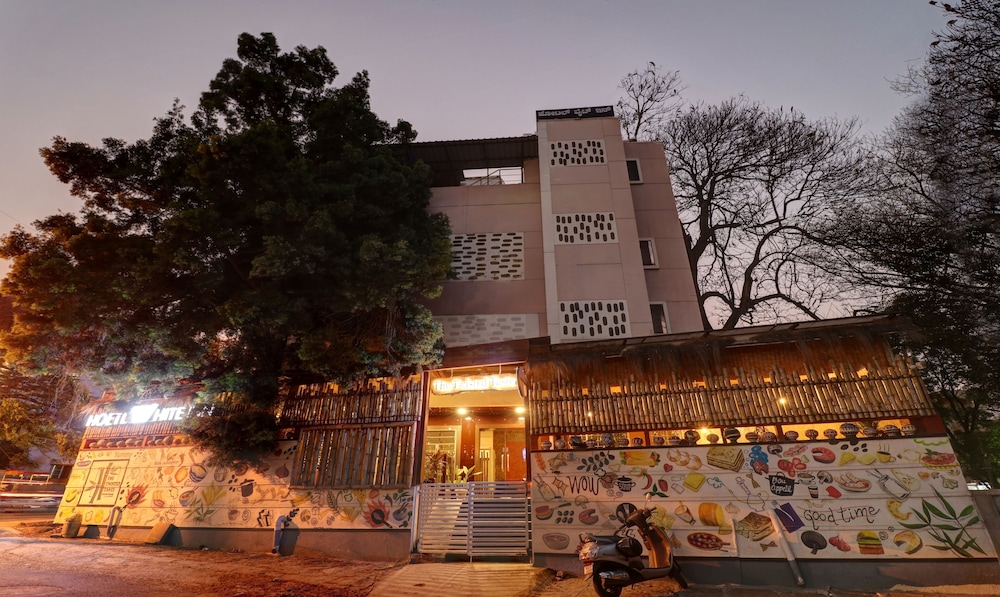 Treebo White Inn Koramangala