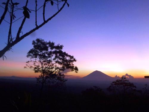 Sang Giri Mountain Glamping Camp